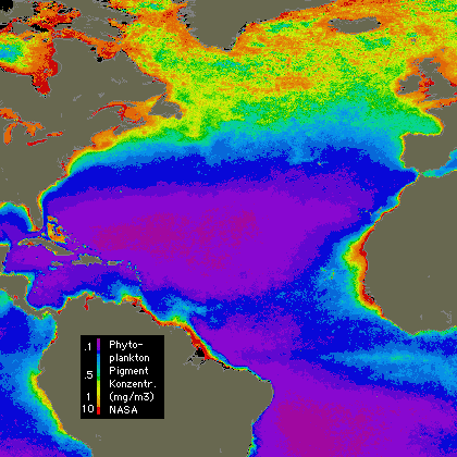 Satellitenbild